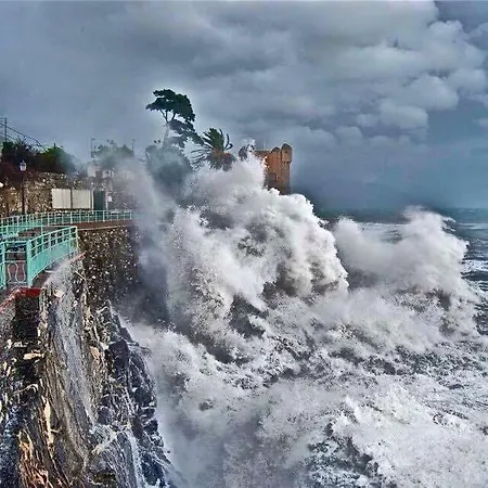 Blue Room Shared House Terrace Above 民宿