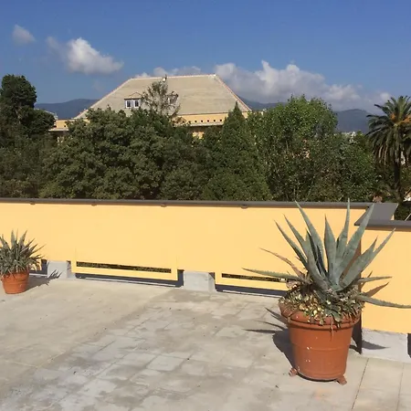 Blue Room Shared House Terrace Above *