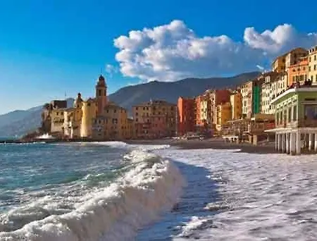 Blue Room Shared House Terrace Above *